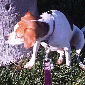 Meet your Posher, Sue